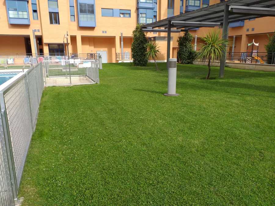 Mantenimiento semanal de jardineria