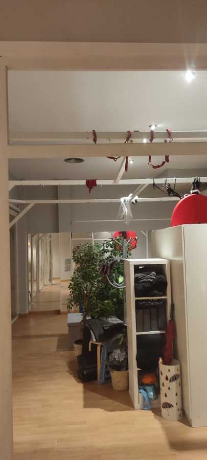 PINTURA INTERIOR DE LOCAL