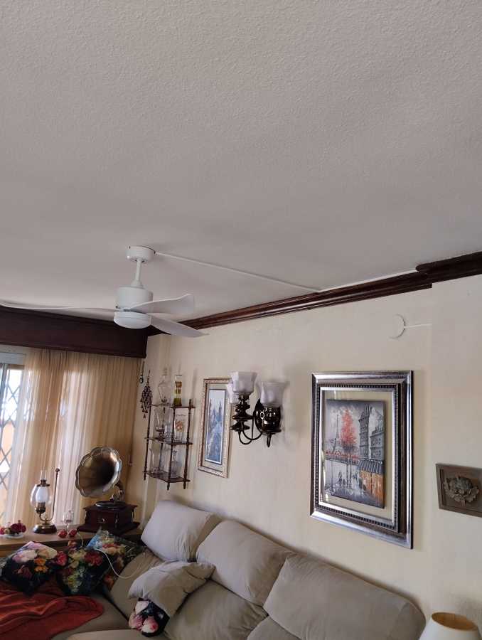 Ventiladores de techo