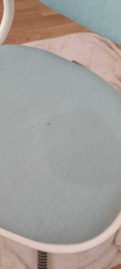 LIMPIEZA DE TAPIZADOS ANTES