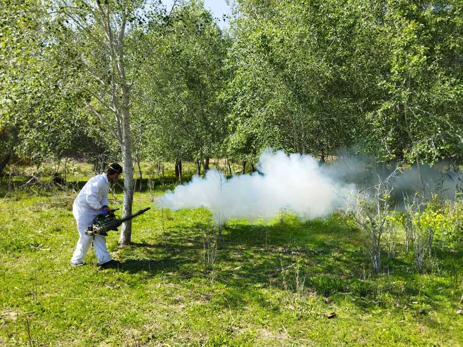 Fumigación