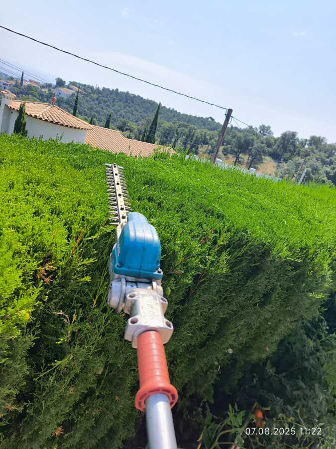 cortaseto