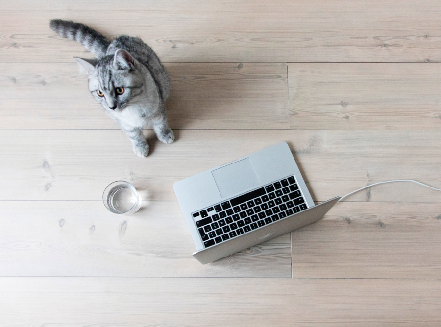 SUELOS BERRY White-Pine-5211-RSH2