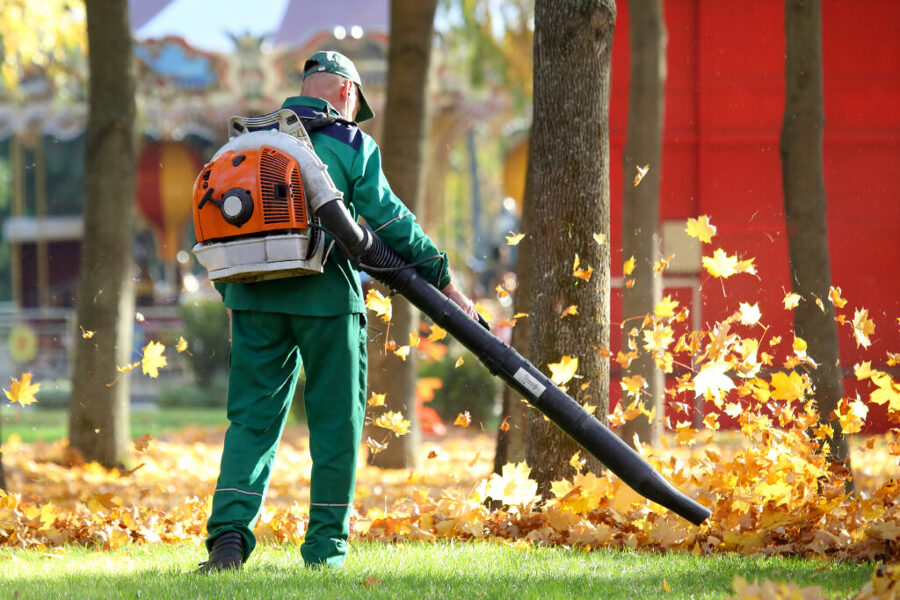 SERVICIOS DE JARDINERÍA