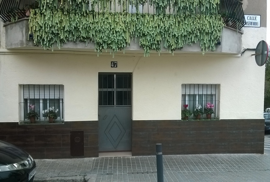 Alicatado y pintura planta baja