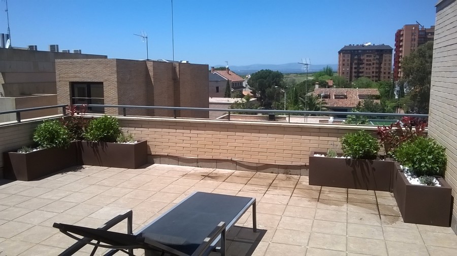 terraza
