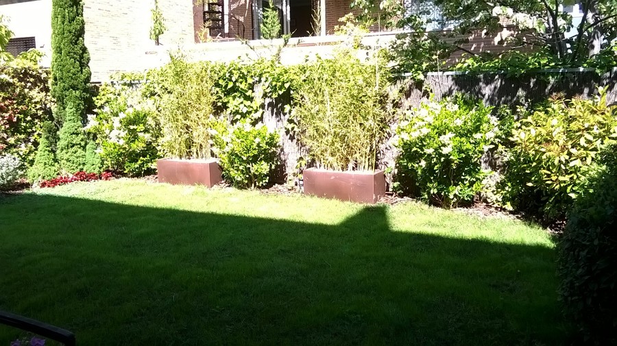 Jardín1