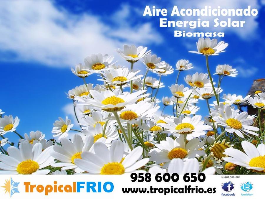 www.tropicalfrio.es