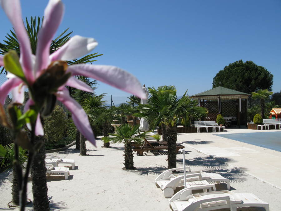 Zona piscina domicilio particular