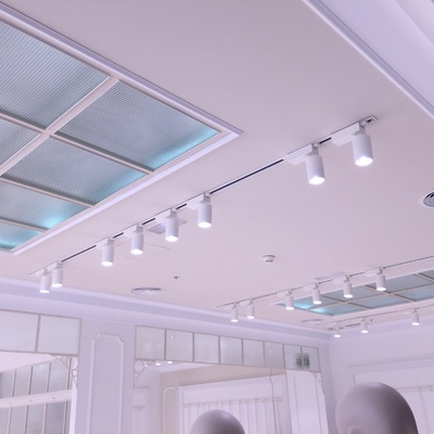 Techos con lucernarios tienda Intimissimi