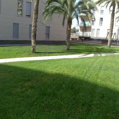 Mantenimiento jardín