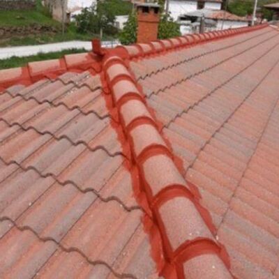 Revisión de tejados