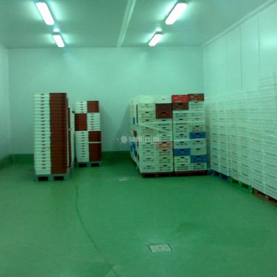 Reformas Naves Industriales, Morteros, Pavimentos