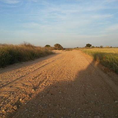 Realización de caminos