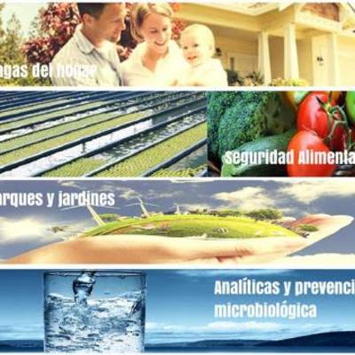 Eficacia y seguridad