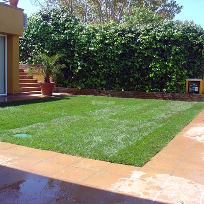 Jardineros, Mantenimiento Jardines, Tala Árboles