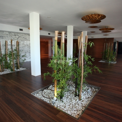 Revestimientos Interiores en MADERA NATURAL