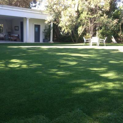 Instalación de césped