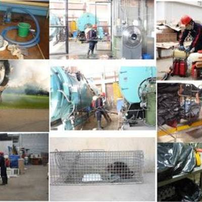 En todos los entornos