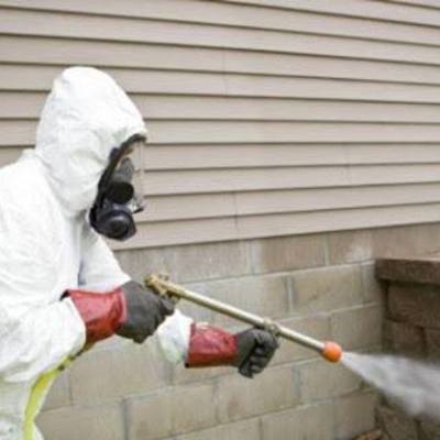 Trabajamos en con todas las técnicas actuales