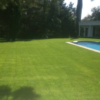 Instalación de césped