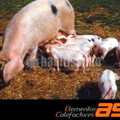 Calefacción, Suelo Radiante Eléctrico