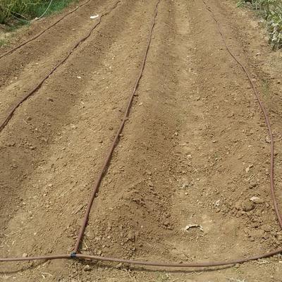 Instalación riego por goteo