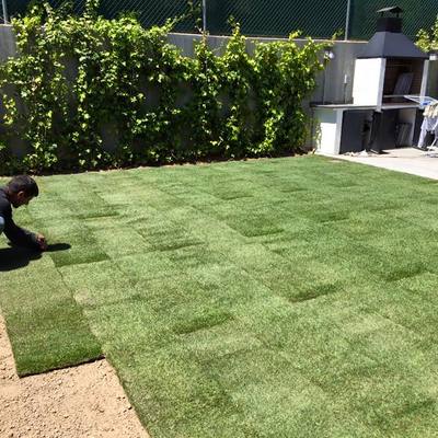 Instalación de césped