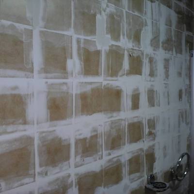 Baño : Cambio de look sin obras
