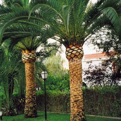 Jardineros