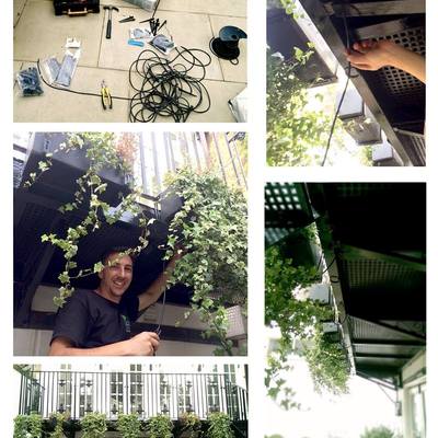 MICROGOTEO EN MACETAS COLGANTES