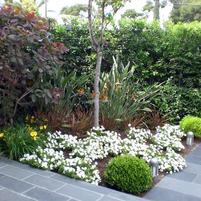 Paisajistas, Jardineros, Técnicos