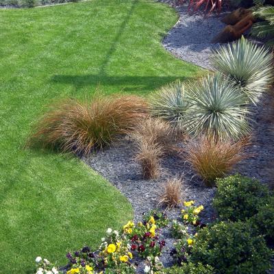 Paisajistas, Técnicos, Jardineros