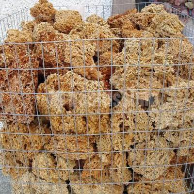 Jardineros, Artículos Decoración, Arenas Silice