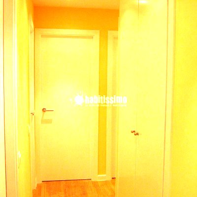 Pintores, Escayola, Obras Menores