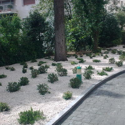 Arriates y borduras.