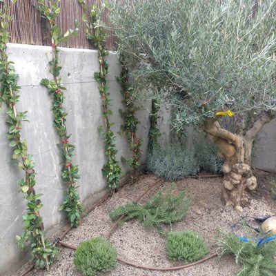 Jardinería