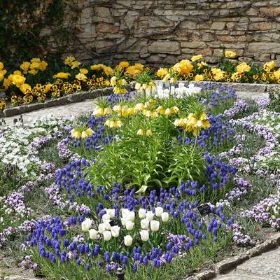 Plantar flores en primavera 2016/2017