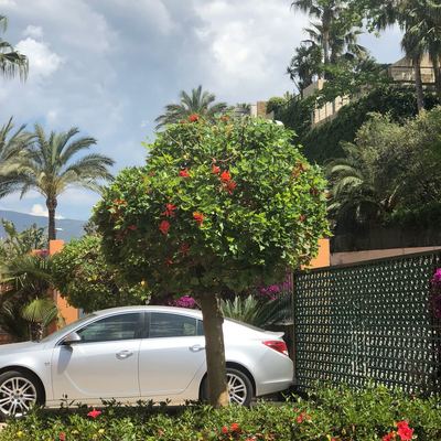 Un pequeño toque de belleza