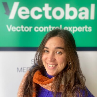 Responsable técnico