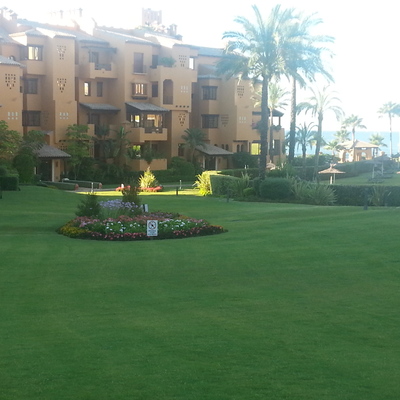 mantenimiento perfecto e pradera de Bermuda (Cynodon dactilon)