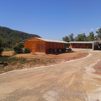 Creación de proyecto