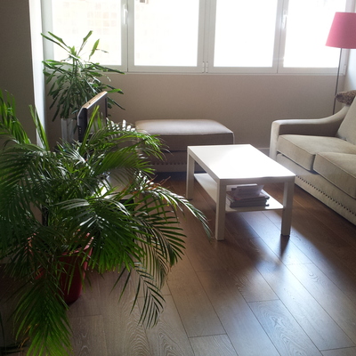 Rehabilitación en el Retiro