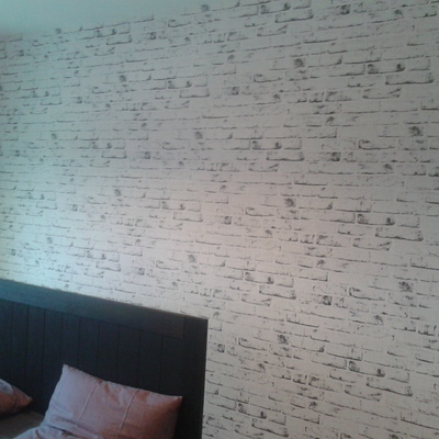 enpaledo  de   paredes