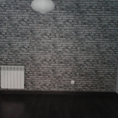 enpaledo  de  paredes