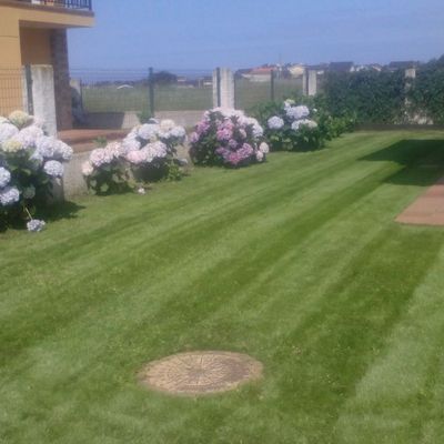 Primer corte césped - Benquerencia