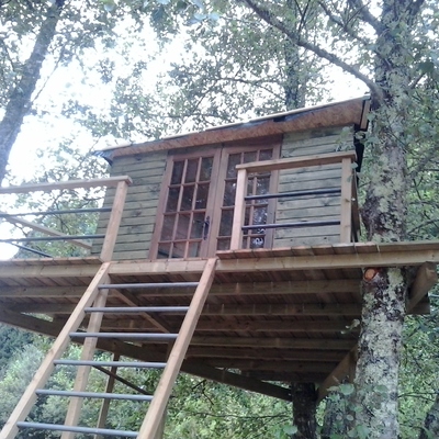 Tree House