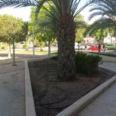 Mantenimiento de jardines