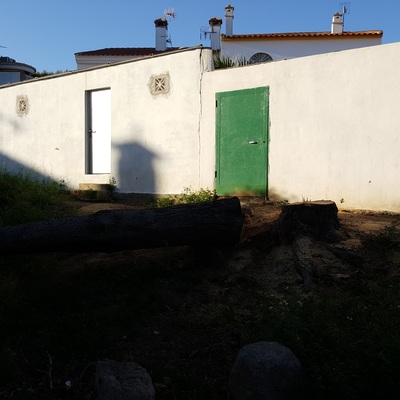Poda de árbol