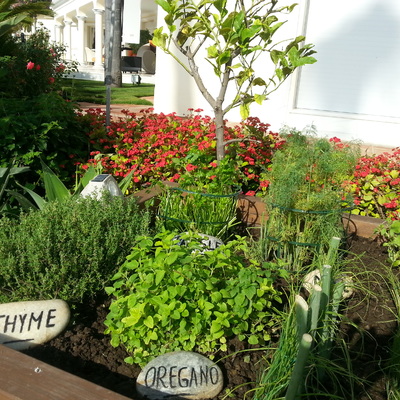 CUBO CON PLANTA PARA COCINAR 